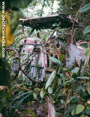 Click For Enlargement