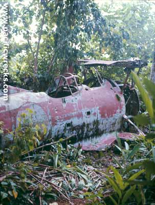 Click For Enlargement