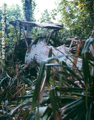 Click For Enlargement