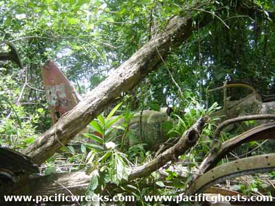 Click For Enlargement