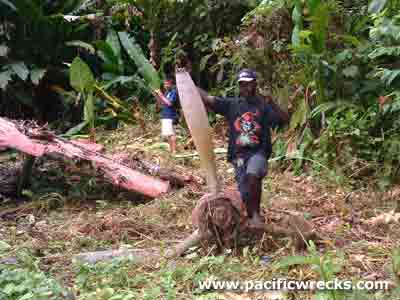 Click For Enlargement