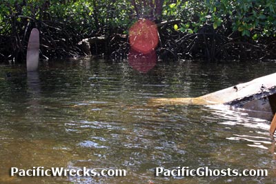 Click For Enlargement