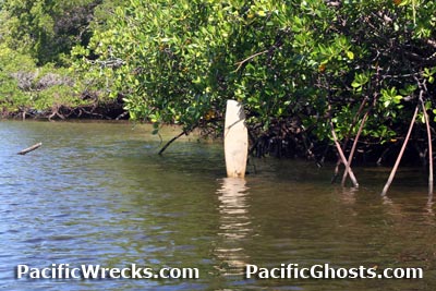 Click For Enlargement