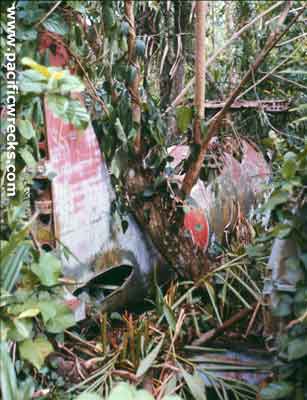 Click For Enlargement