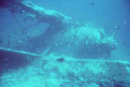 Click For Enlargement