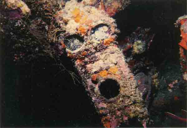 Click For Enlargement