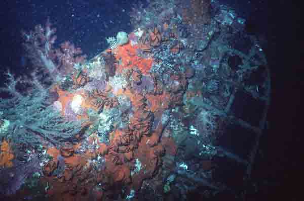 Click For Enlargement