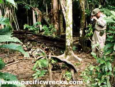 Click For Enlargement