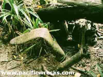 Click For Enlargement