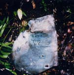 Click For Enlargement