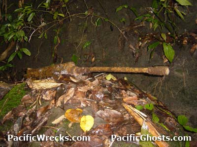 Click For Enlargement