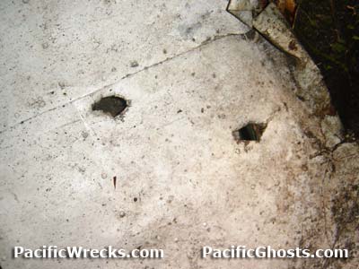 Click For Enlargement