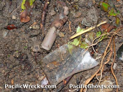 Click For Enlargement