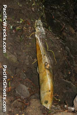 Click For Enlargement