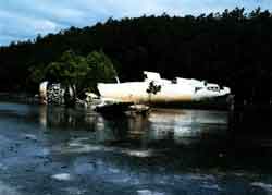 Click For Enlargement