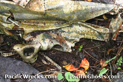 Click For Enlargement