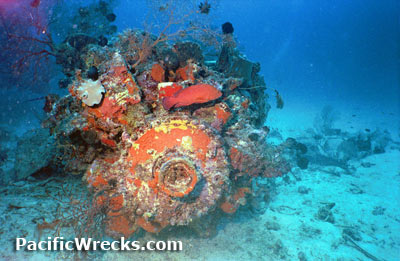 Click For Enlargement