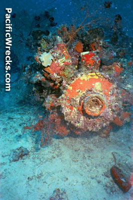 Click For Enlargement