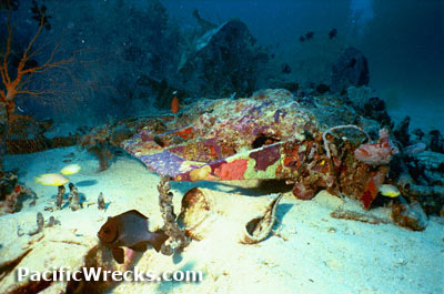 Click For Enlargement