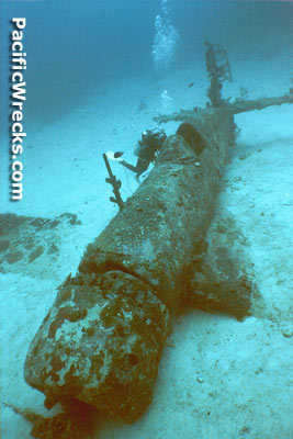 Click For Enlargement