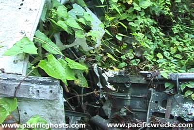 Click For Enlargement