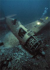 Click For Enlargement