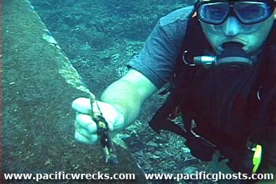 Click For Enlargement