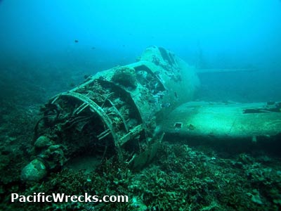 Click For Enlargement