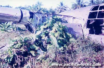 Click For Enlargement