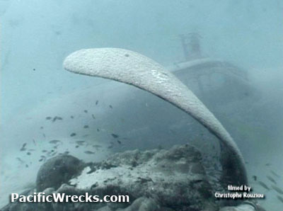 Click For Enlargement