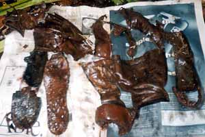 Click For Enlargement