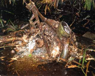 Click For Enlargement