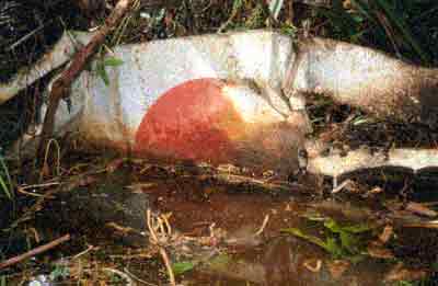 Click For Enlargement