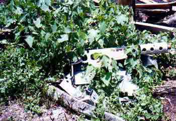 Click For Enlargement