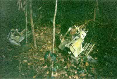 Click For Enlargement