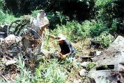 Click For Enlargement