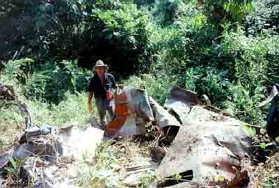 Click For Enlargement