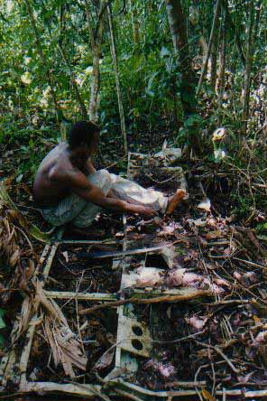 Click For Enlargement