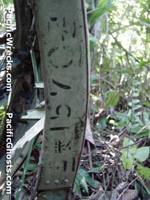 Click For Enlargement