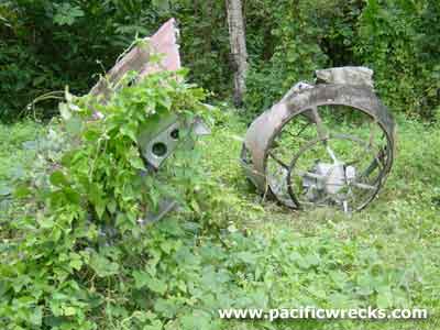 Click For Enlargement