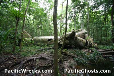 Click For Enlargement