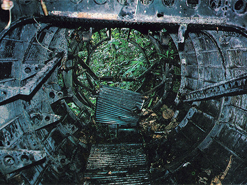 Click For Enlargment