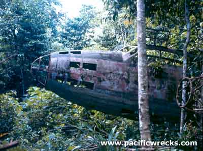 Click For Enlargement