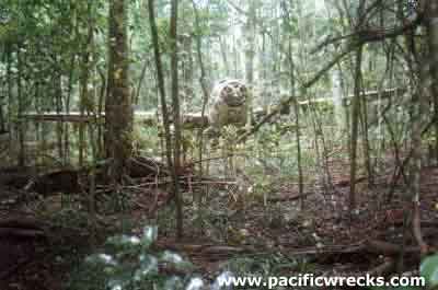 Click For Enlargement