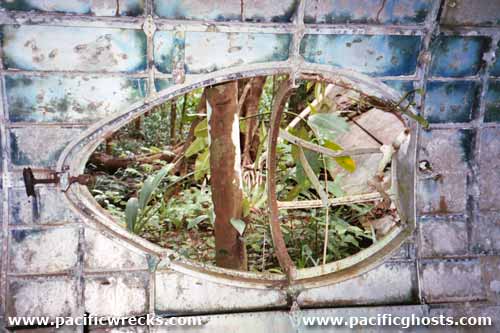 Click For Enlargement