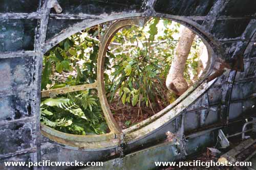 Click For Enlargement