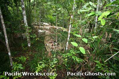 Click For Enlargement