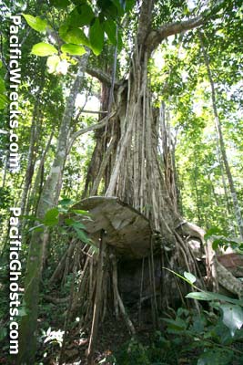 Click For Enlargement