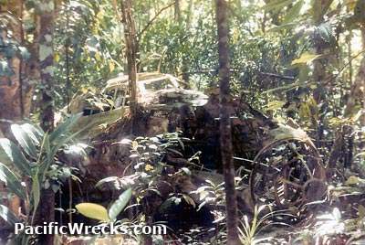 Click For Enlargement