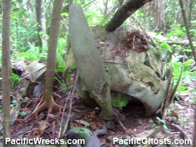 Click For Enlargement